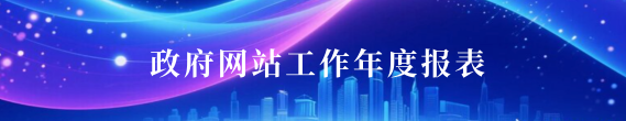 政府网站年度工作报表